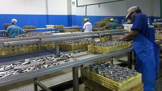 Áncash: 66 toneladas de anchoveta fueron decomisadas a empresa