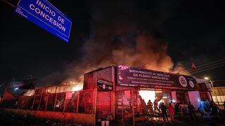 Incendio en el Mercado de Flores destruyó 160 puestos | Rímac | VIDEO