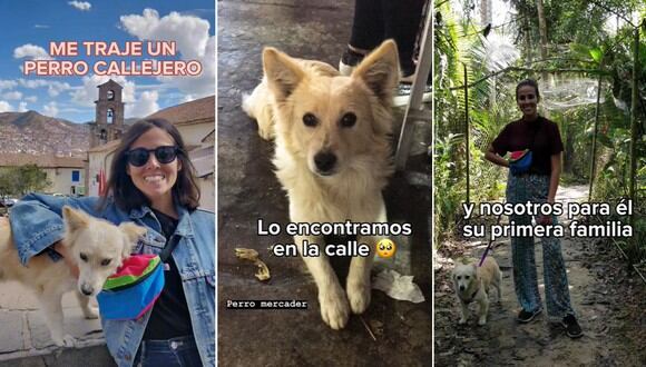 Una turista española le cambió la vida a un perro callejero peruano y hoy comparte su historia. | FOTO: @perrecetas / TikTok