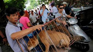 China: 11 millones de firmas contra festival de carne de perro