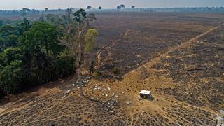 “La Amazonía brasileña está destrozada y cerca de un punto sin retorno”: ¿es muy tarde para salvarla?