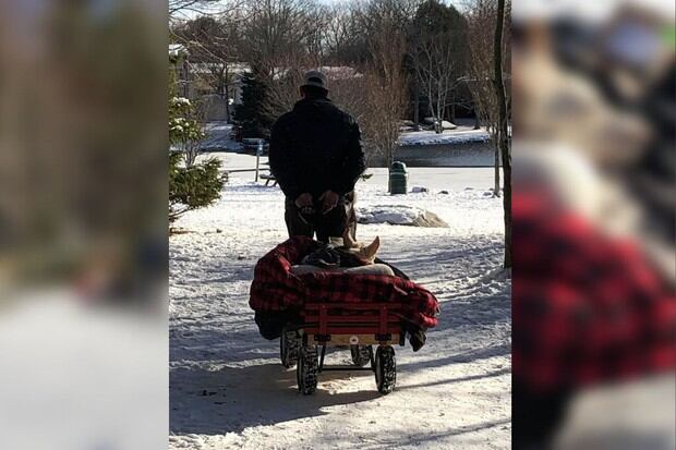 El hombre saca a pasear a su perrita en un carrito especial (Foto: Facebook)