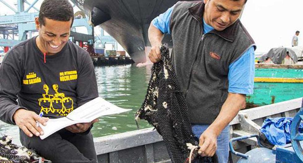 La mayoría de pescadores artesanales se concentra en Piura, Ica y Áncash. (Foto: Andina)