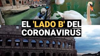 Coronavirus: los efectos positivos de la cuarentena en el medio ambiente