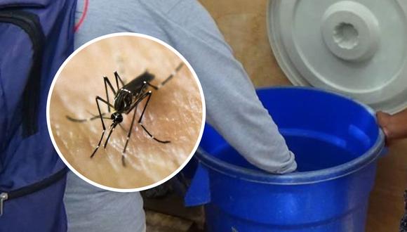 ¿Cómo identificar al mosquito del dengue al momento de almacenar agua por anunciado corte de agua? | Composición: Andina / AFP