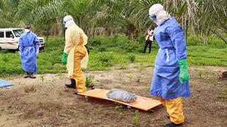 Crean una prueba que detecta el ébola en minutos