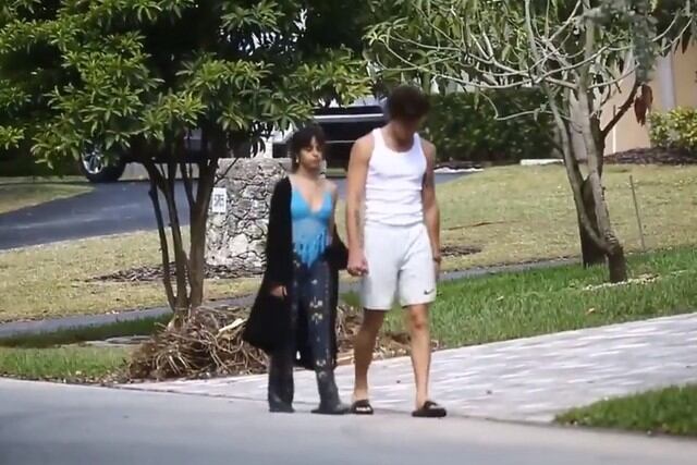 Camila Cabello y Shawn Mendes lucían demacrados y poco enérgicos (Foto: Captura de pantalla / Youtube)