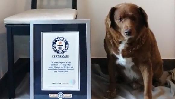Bobi junto al certificado de los Guiness World Records.