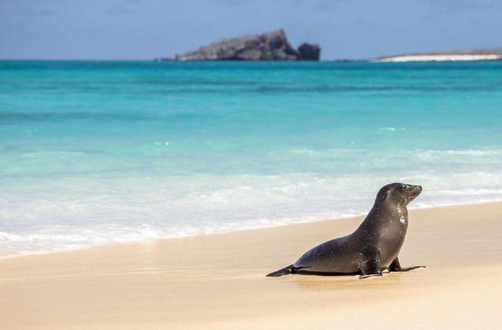 Islas Galápagos En Ecuador Imágenes Del Increíbles Lugar Turístico A Las Afueras De Quito Que 5213