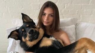 Colombo, el afortunado perro que duerme en los brazos de Emily Ratajkowski 