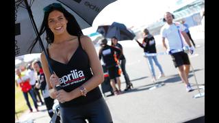 MotoGP: Las espectaculares Paddock Girls del GP de Australia