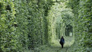 Da un romántico paseo por este Túnel del Amor en Ucrania