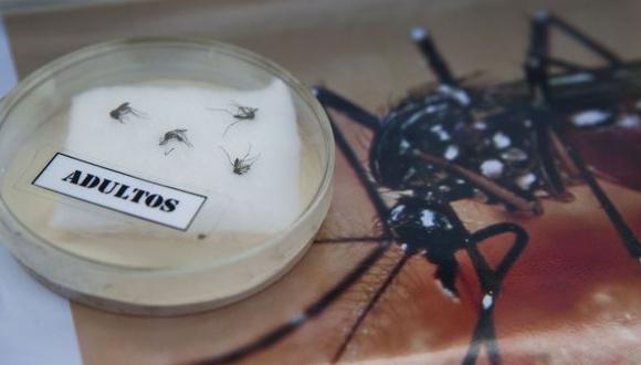 Datos sobre el mosquito que transmite el virus del zika