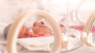 Día del niño prematuro: la dura batalla que padecen estos bebes 