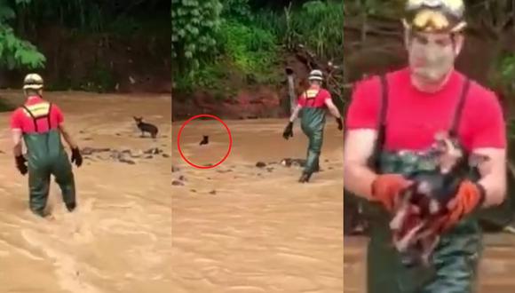Un perro en Brasil protagonizó un curioso rescate al evitar ser salvado por un bombero tras quedar varado en un arroyo. | Crédito: Metrópoles / YouTube