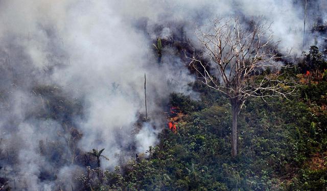 Se declaran cientos de nuevos incendios en la Amazonía de Brasil. (AFP).