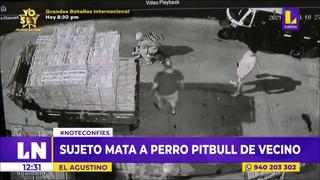 El Agustino: sujeto mató a cuchilladas a un perro pitbull en frente de su dueño | VIDEO