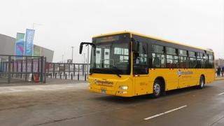 Panamericanos 2019: buses de servicio especial trasladarán hasta sedes deportivas
