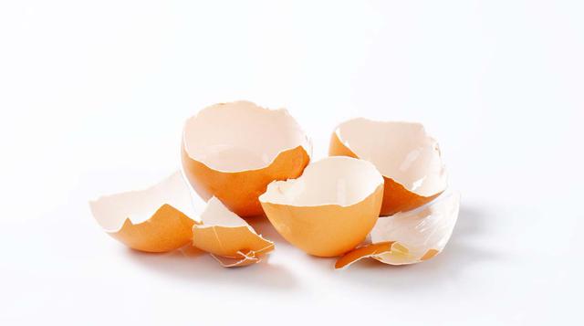 Seis usos que le puedes dar a la cáscara de huevo en casa  - 1