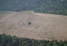 Brasil dejará de combatir la deforestación de la Amazonía porque Bolsonaro cortó fondos para operaciones contra la tala