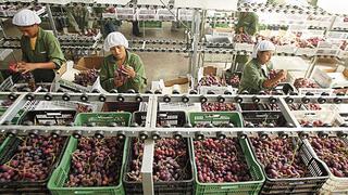 Envíos de uva se benefician por problemas en Chile y China: ¿Qué sucedió en estos países?