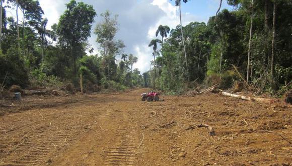 Minam rechaza proyecto del Congreso sobre vía cerca del Manu