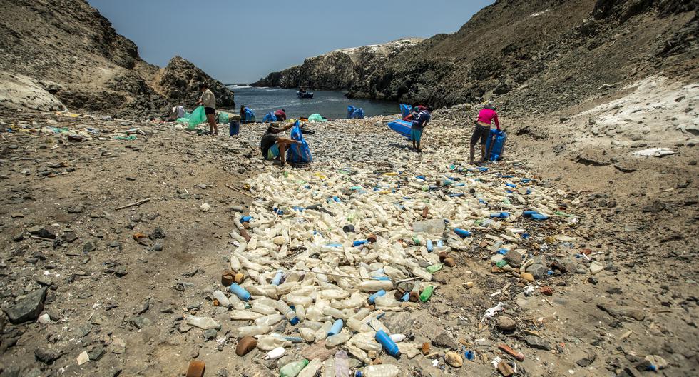 La caleta difuntos 2 lleva ese nombre porque las corrientes marinas vararon allí cadáveres de un naufragio. Ahora lo que abunda son cientos de botellas de plástico entre la arena. (Fotos: Diego del Río)