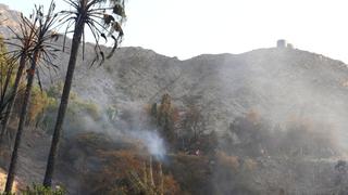 Bomberos controlan incendio forestal en zona de Chaclacayo