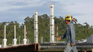 Perú-Petro postergó subasta de 7 lotes petroleros en la selva