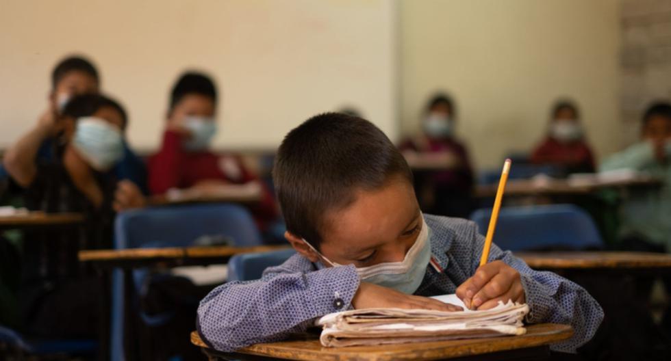 2023 School Calendar |  When do inter-year school holidays start in Peru?  |  Answers