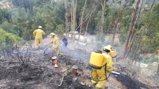 Áncash: 30 incendios forestales han sido reportados en lo que va del año