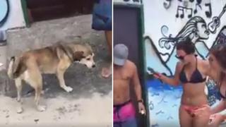 Indignación por broma de un perro enfermo con Bob Marley