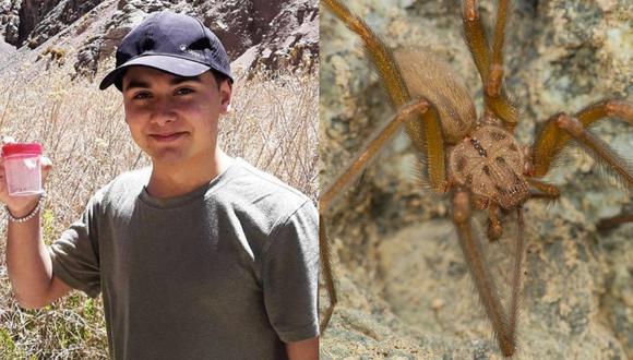 Joven de 16 años descubre un nuevo tipo de araña y la nombran en su honor (Foto: Instagram/@lun-vj.naturalph).