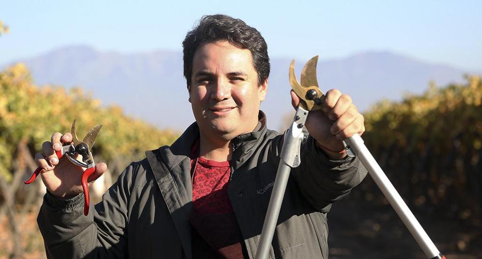 Un ingeniero agrónomo chileno ha creado unas tijeras de podar fabricadas en cobre que previenen la contaminación entre las plantas. (Foto: EFE)