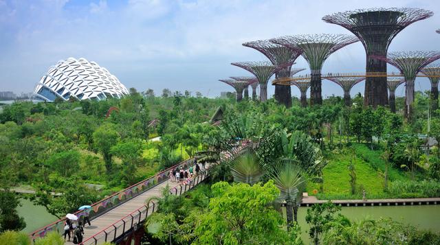 Sorpréndete con los mágicos Jardines de la bahía de Singapur - 2