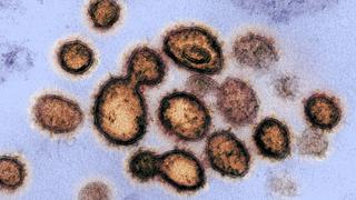 Preocupación en China por una cepa del coronavirus relacionada a nuevos casos en Beijing