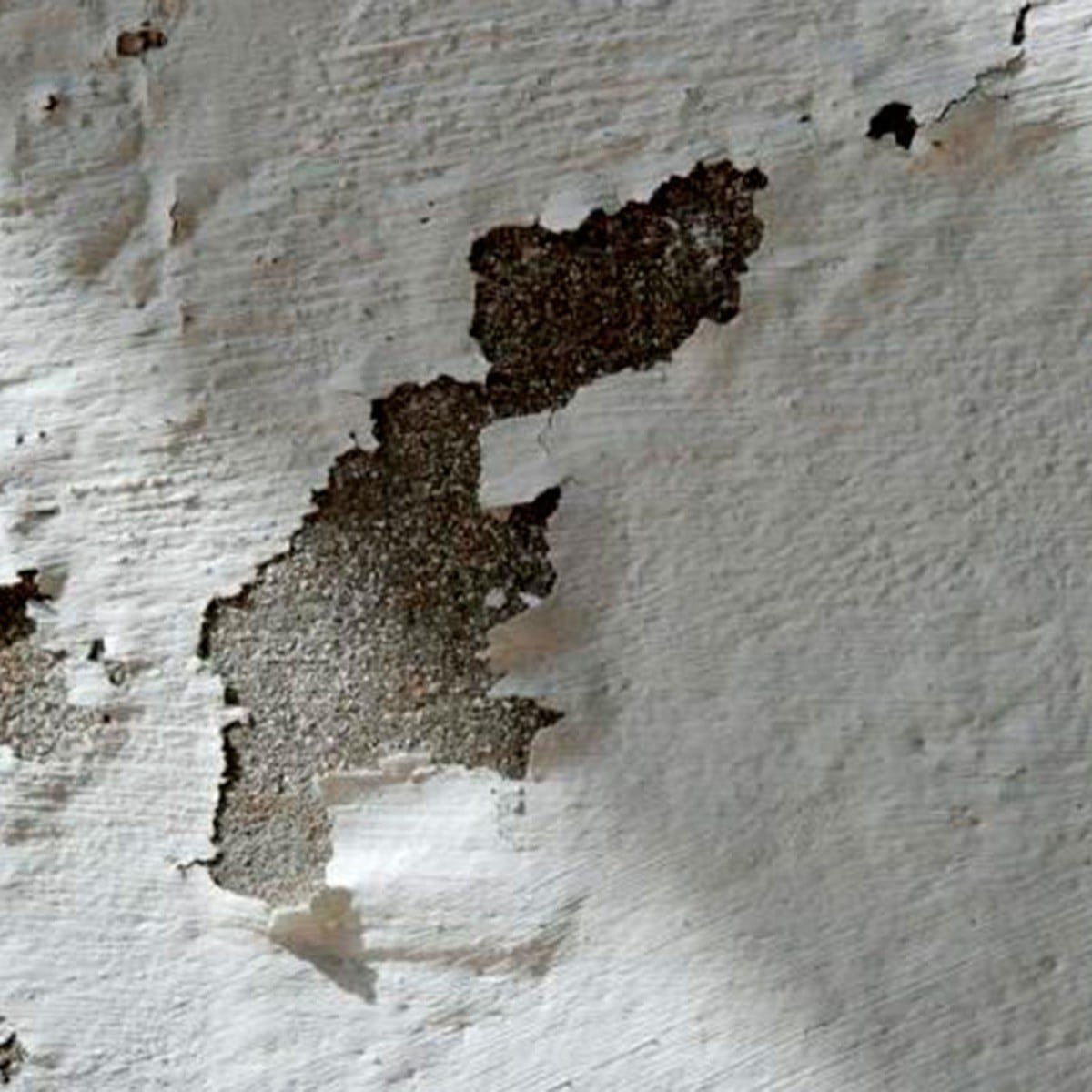 Trucos limpieza: El truco con lejía para dejar las paredes blancas sin  tener que pintar