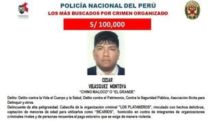 Los más buscados: cayó líder de banda criminal "Los Plataneros"