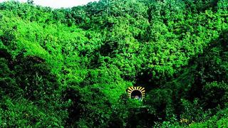 Huánuco: establecen Área de Conservación Regional Bosque Montano de Carpish