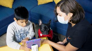 La novedosa terapia para niños con labio y/o paladar fisurado asistida por una mascota