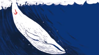 "La ballena azul" y "13 Reasons Why": ¿glorifican el suicidio?