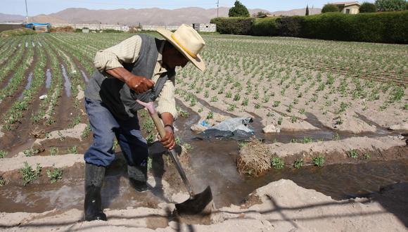 “Desde Agap, exhortamos a las autoridades del Gobierno a dejar las medidas populistas y acelerar la entrega del Fertiabono", expresaron. (Foto: GEC)