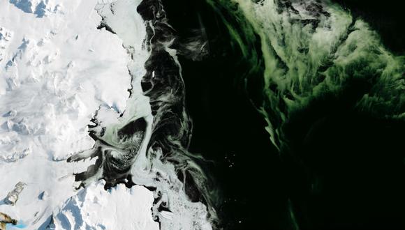 El extraño fenómeno que produce hielo verde en la Antártida