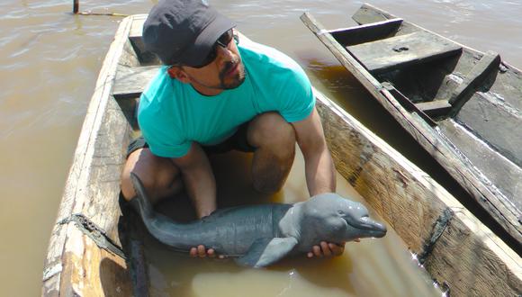 Fernando Trujillo, director de Fundación Omacha de Colombia, estudia desde hace más de veinte años el comportamiento y estado de conservación de los delfines de los ríos sudamericanos. Foto de Kike Calvo.