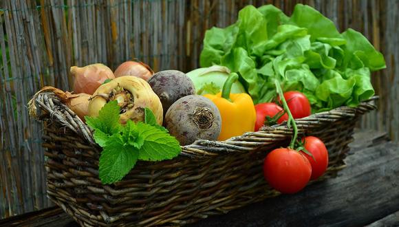 Descubre consejos para incluir verduras en tus comidas. (Foto: pixabay)