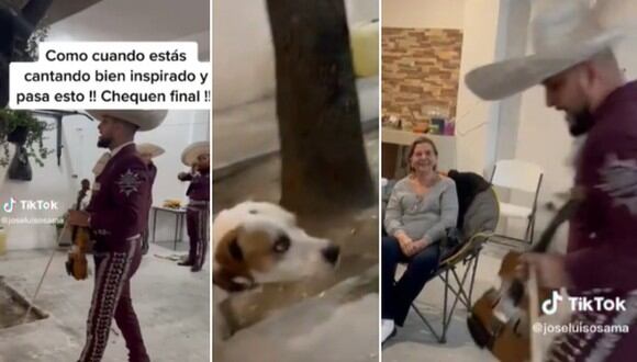 En esta imagen se aprecia al mariachi que se llevó el susto de su vida durante una presentación por culpa de un perro. (Foto: @joseluisosama / TikTok)