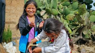 Kimberly-Clark: ¿cómo se ha logrado cambiar la vida de miles de peruanos?