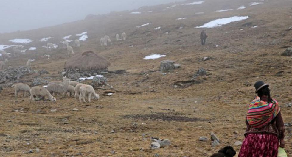 Por las heladas que se registran en la región Junín, pobladores de la zona alta de la provincia de Huancayo afrontan cuadros de infecciones respiratorias. (Foto: Andina)