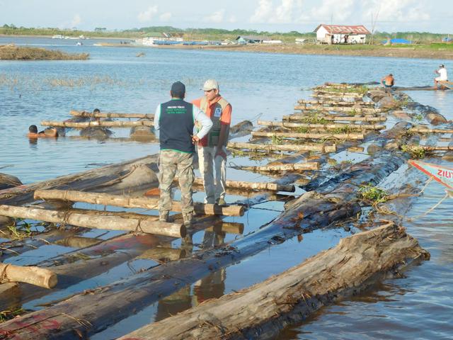 Ucayali: incautan S/300 mil en madera de presunto origen ilegal