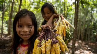 Día de la independencia en Perú: cinco historias de conservación y descubrimiento en un país megadiverso 